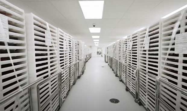 Vitamin & Supplement Manufacturing