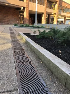 Jacob School of Management, Buffalo University