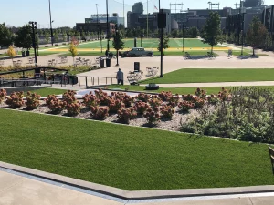 Green Bay Titletown Podium Landscape