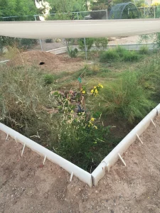 Copperwood Schoolyard Habitat for Environmental Education