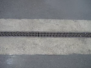 Port of Seattle Pier 115