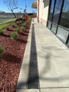 Central Valley Plaza FedEx Center