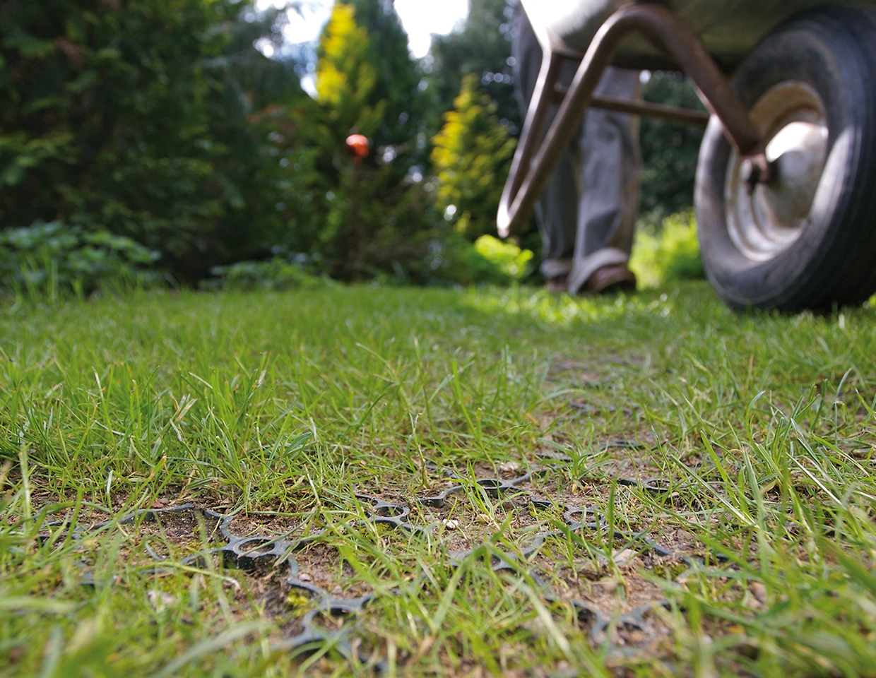 GrassGrid