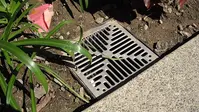 Exterior Point Drains