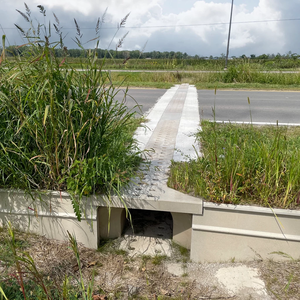 Wildlife Protection & Guidance