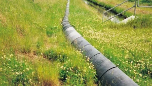 Wildlife Guide Fence