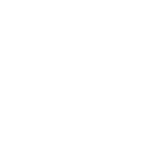 NSF Company Logo